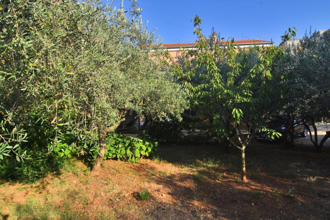 Apartments Edita Zadar Eksteriør bilde